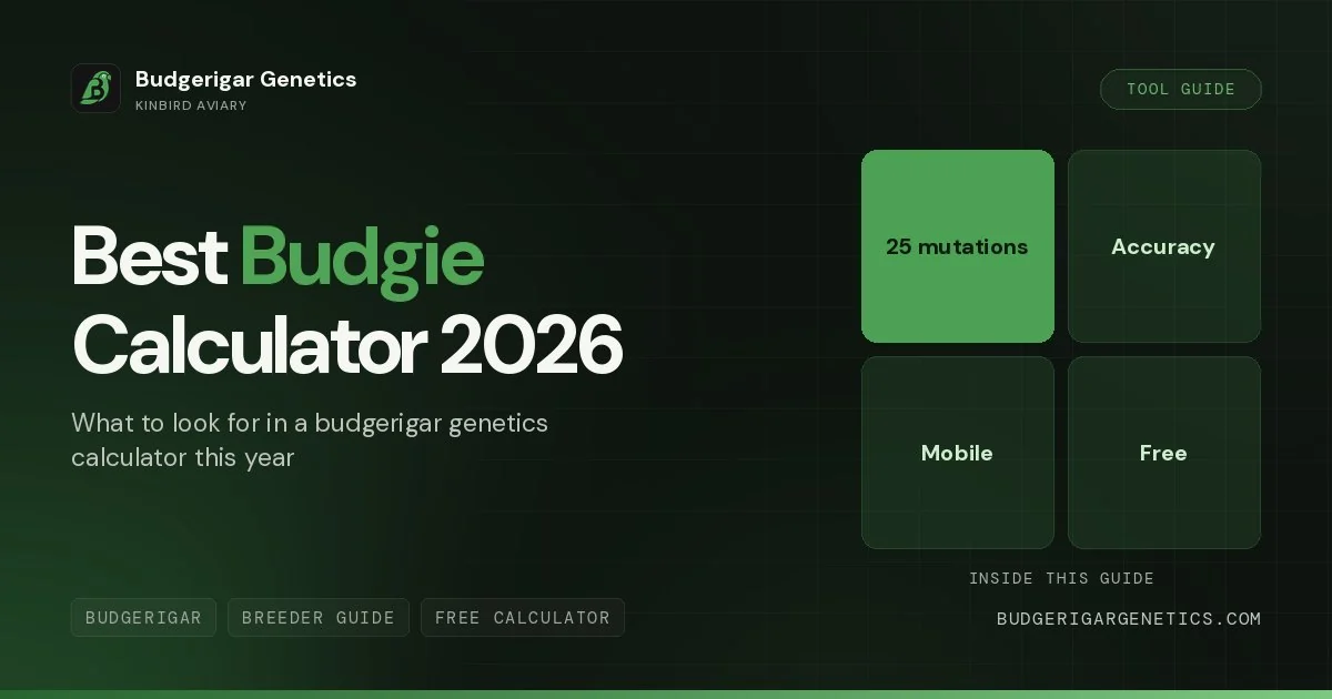 Best Budgerigar Genetics Calculator 2026, Honest Comparison of Free Tools