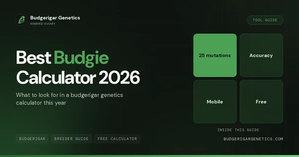 Best Budgerigar Genetics Calculator 2026, Free Tools Compared