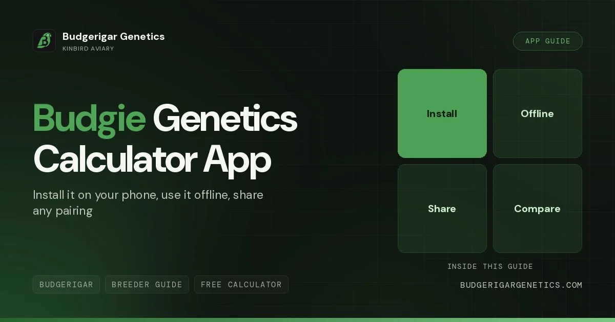 Budgerigar Genetics Calculator App, PWA vs Web Tool
