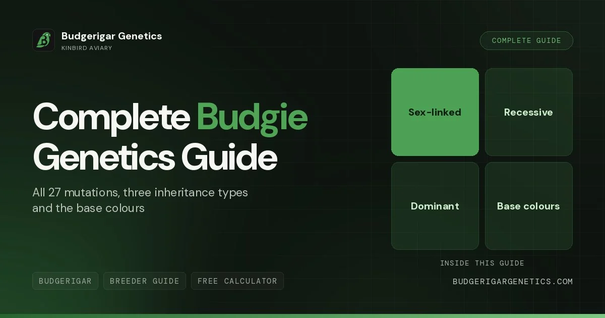 Complete Budgerigar Genetics Guide, 27 Mutations and Inheritance Rules