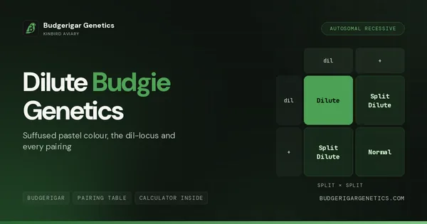 Dilute, Suffused Yellow White Pastel