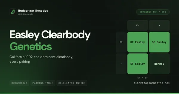 Easley Clearbody, Dominant Clearbody Guide