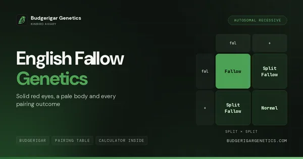 English Fallow (Pale Fallow) Guide
